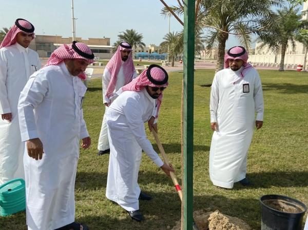 غرس 300 شجرة بغرب الدمام