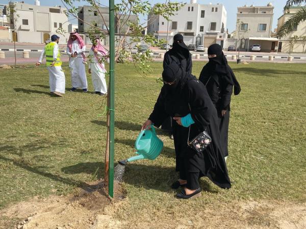 غرس 300 شجرة بغرب الدمام
