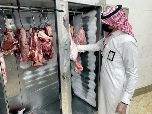 برامج دورية لمتابعة السلامة الغذائية