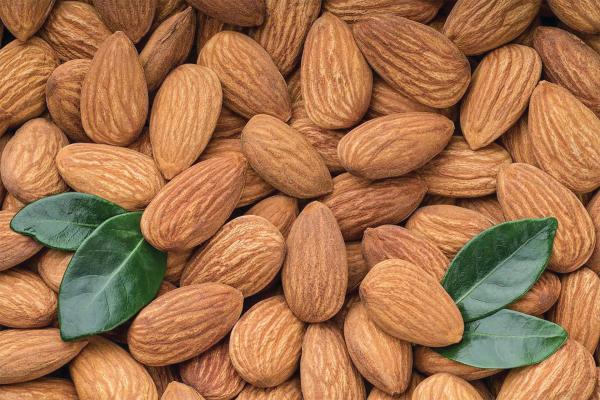 اللوز.. يخفض الكوليسترول الضار بالدم