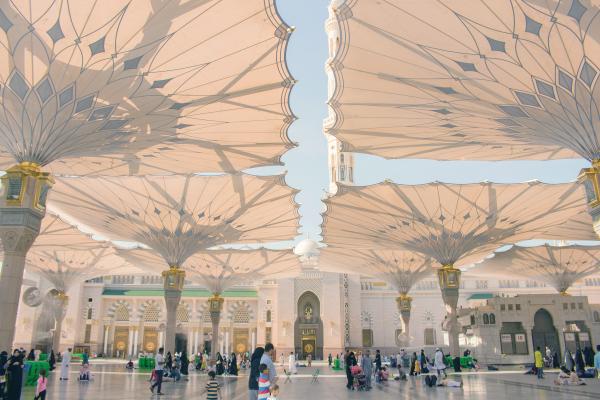 مقومات المملكة السياحية «متفردة» عالميا