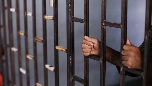 السجن والغرامة بانتظار مواطن آوى 7 مخالفين لـ«أمن الحدود»