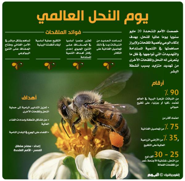 يوم النحل العالمي