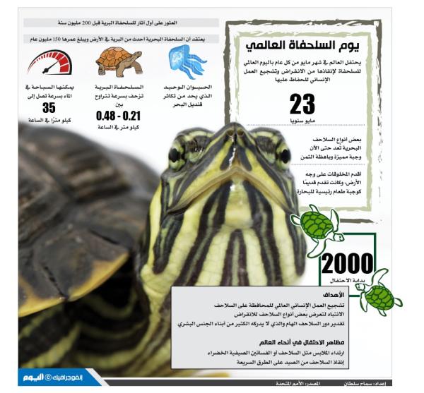 يوم السلحفاة العالمي