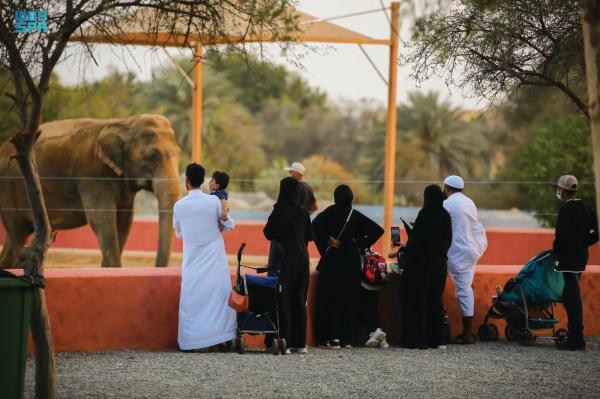 «جدة جنغل».. فعاليات متنوعة مستوحاة من حياة الطبيعة والأدغال