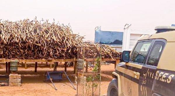 ضبط مخالفين بحوزتهما 24 متر 3 حطب محلي