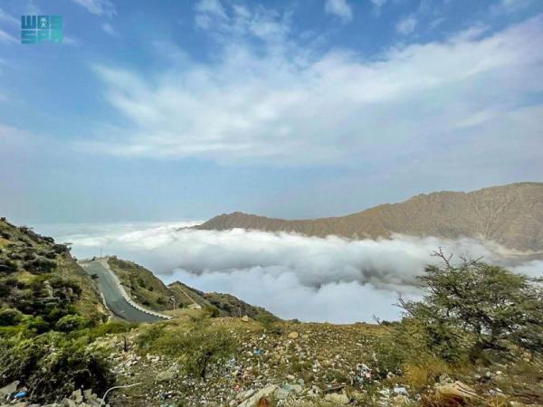 أمطار رعدية على الباحة