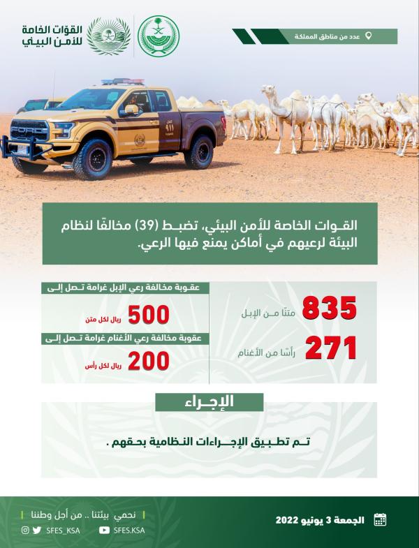 ضبط 39 مخالفًا لارتكابهم مخالفات رعي بمناطق المملكة