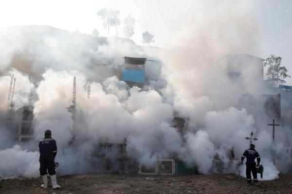 سنغافورة تسجل زيادة في حالات الإصابة بحمى الضنك