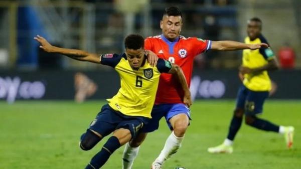 الفيفا يسمح للإكوادور بالمشاركة في كأس العالم