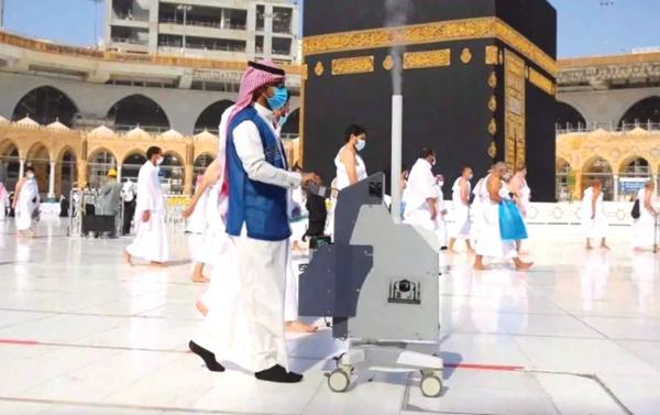 منع دخول الإبل للمشاعر المقدسة بموسم الحج