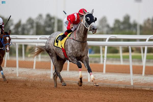 مرتجح بطلا لجائزة «الخيل التقديرية»