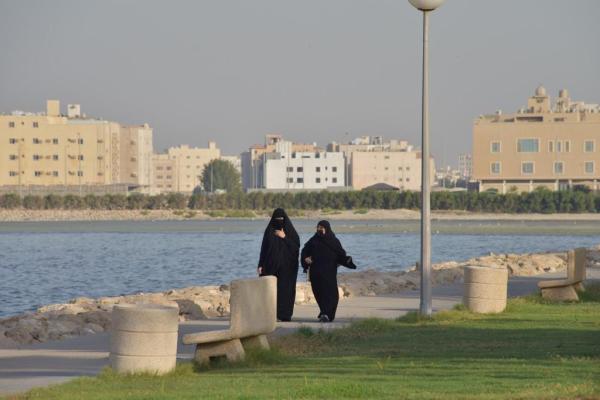 فريق مدرب لاصطياد تمساح كورنيش سيهات