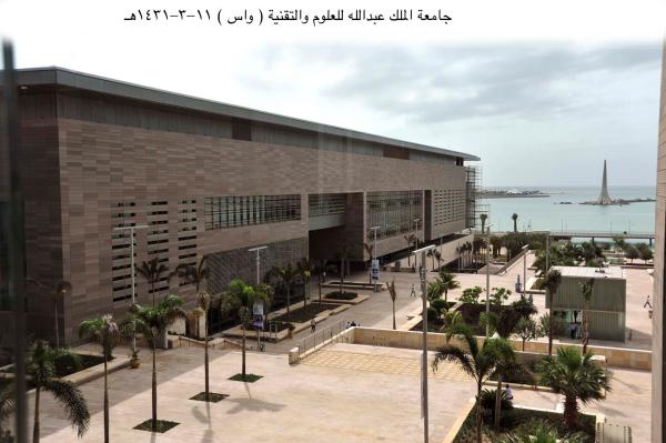 أماكن وهواتف الجامعات الحكومية.. اعرف الأقرب إليك