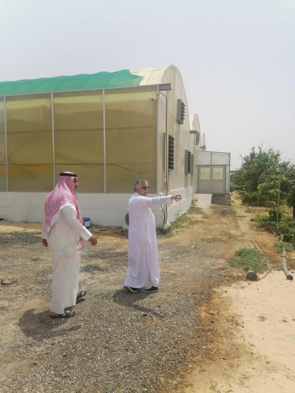 تعريف مزارعي الشرقية بمعايير «سعودي جاب»