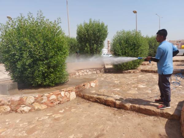 685 ألف م2 مسطحات خضراء بالجبيل