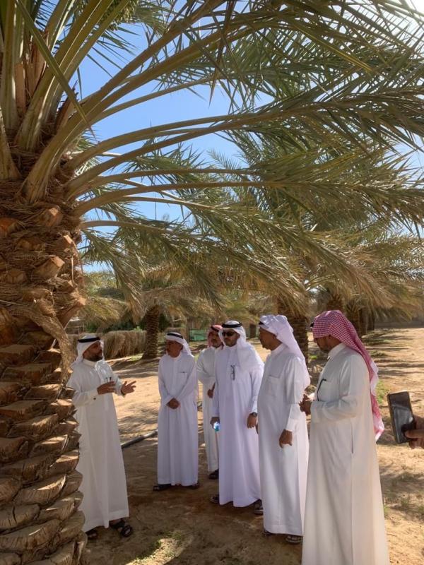 تعريف مزارعي حفر الباطن بطرق مكافحة «حلم الغبار»