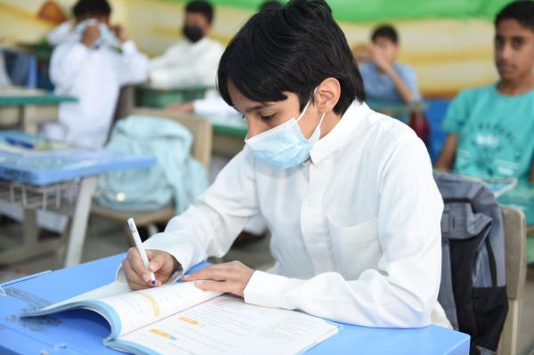 خطوة خطوة.. اعرف نتيجتك عبر توكلنا ونور