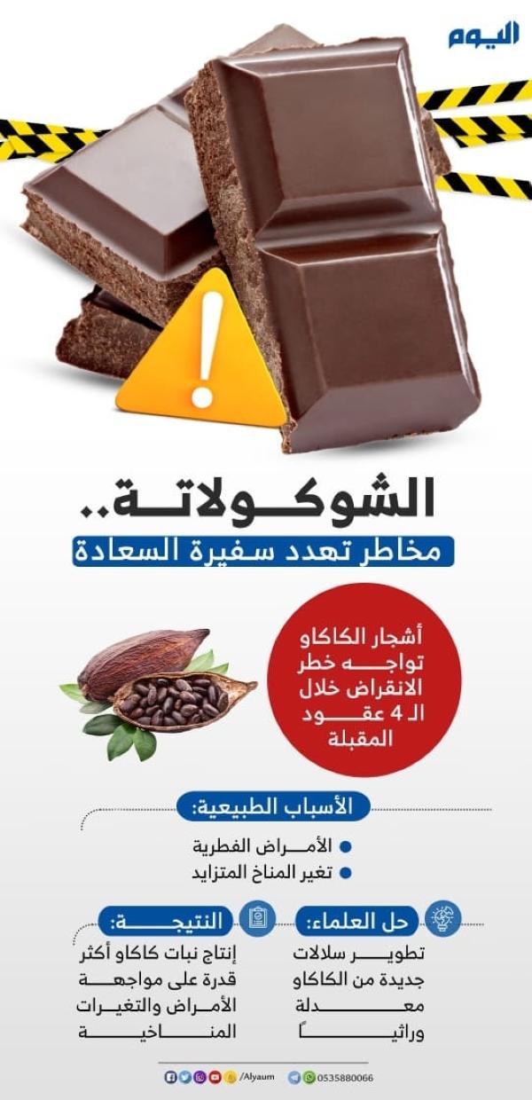 الشوكولاتة.. مخاطر تهدد سفيرة السعادة