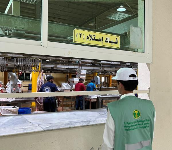 صور.. «البيئة» تؤكد جاهزية المسالخ لاستقبال الأضاحي بالطائف