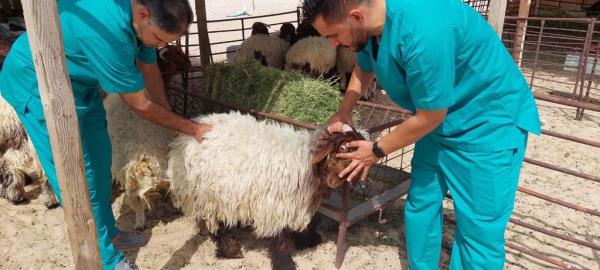مسلخ قرية العليا «جاهز» لاستقبال المضحين