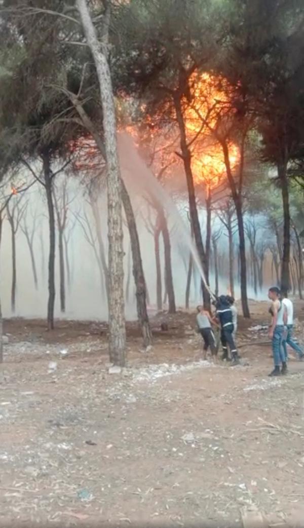 المغرب تعلن السيطرة على مجموعة من حرائق الغابات