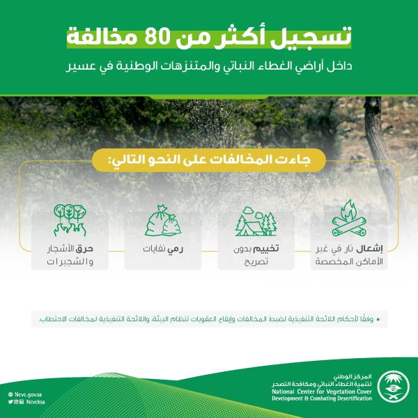 تسجيل 83 مخالفة إضرار بالبيئة في عسير