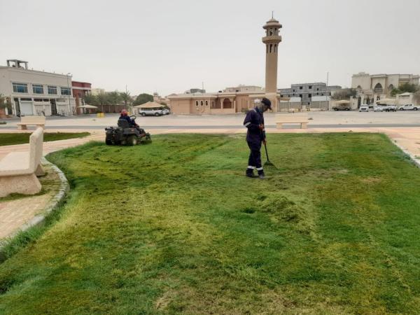 صيانة وتشجير شوارع بقيق