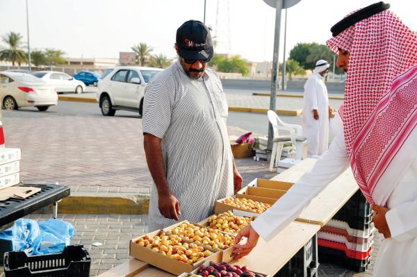الأحساء.. نضوج أصناف الرطب وتوقعات بوفرة الإنتاج