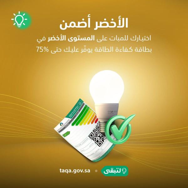 عضو شورى : الأجهزة الكهربائية الرديئة تسهم في زيادة الاستهلاك