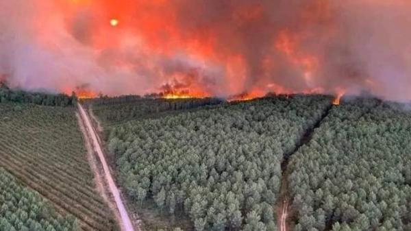 حريق المغرب - مشاع إبداعي