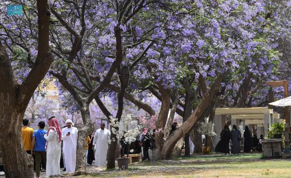عسير تجذب زوار الصيف بالأجواء المعتدلة وزخات المطر