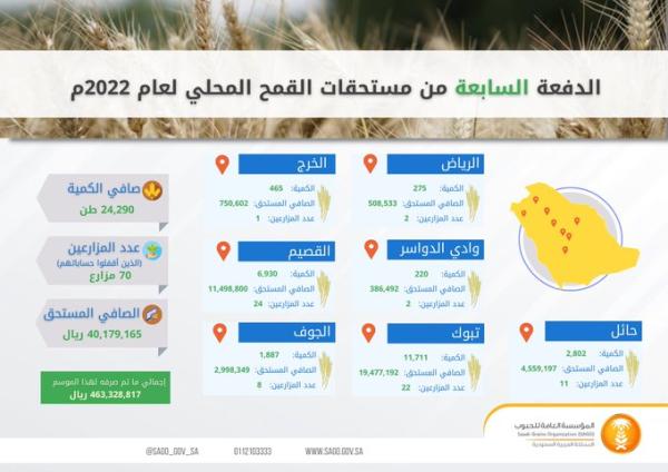«العامة للحبوب» تصرف مستحقات الدفعة السابعة لمزارعي القمح المحلي