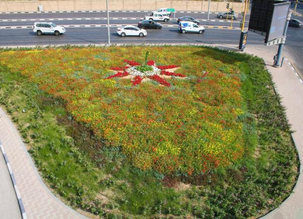 4 ألاف شجرة تزين طرق وسط الدمام