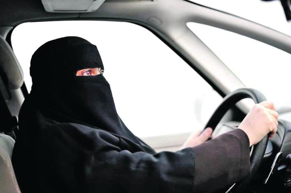 «مدارس القيادة»..حلم اقتناء الرخصة يتحول لـ«كابوس انتظار»
