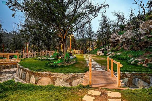 حديقة اللافندر.. أيقونة جديدة للسياحة بالباحة