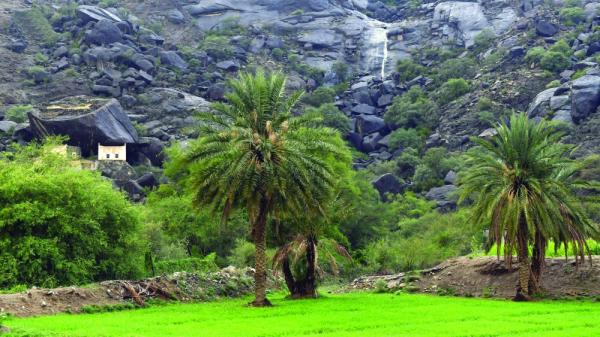 «شلالات الأمطار»..لوحة جمالية طبيعية في جبال عسير