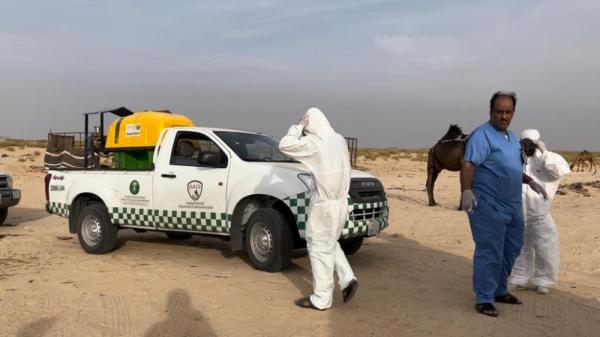 خدمات تعليمية لـ 600 دارس في فصول محو الأمية بالعديد