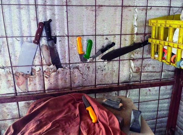 تفتقر للاشتراطات الصحية.. ضبط 4 مسالخ عشوائية بالأحساء