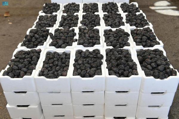 4 ملايين نخلة تنتج 7 أنواع من التمور في المدينة المنورة