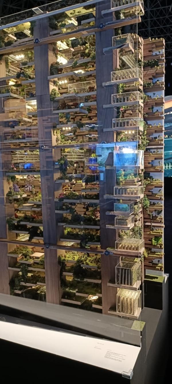 بالصور.. «ذا لاين» يلقي الضوء على 224 نوع من النباتات بنيوم