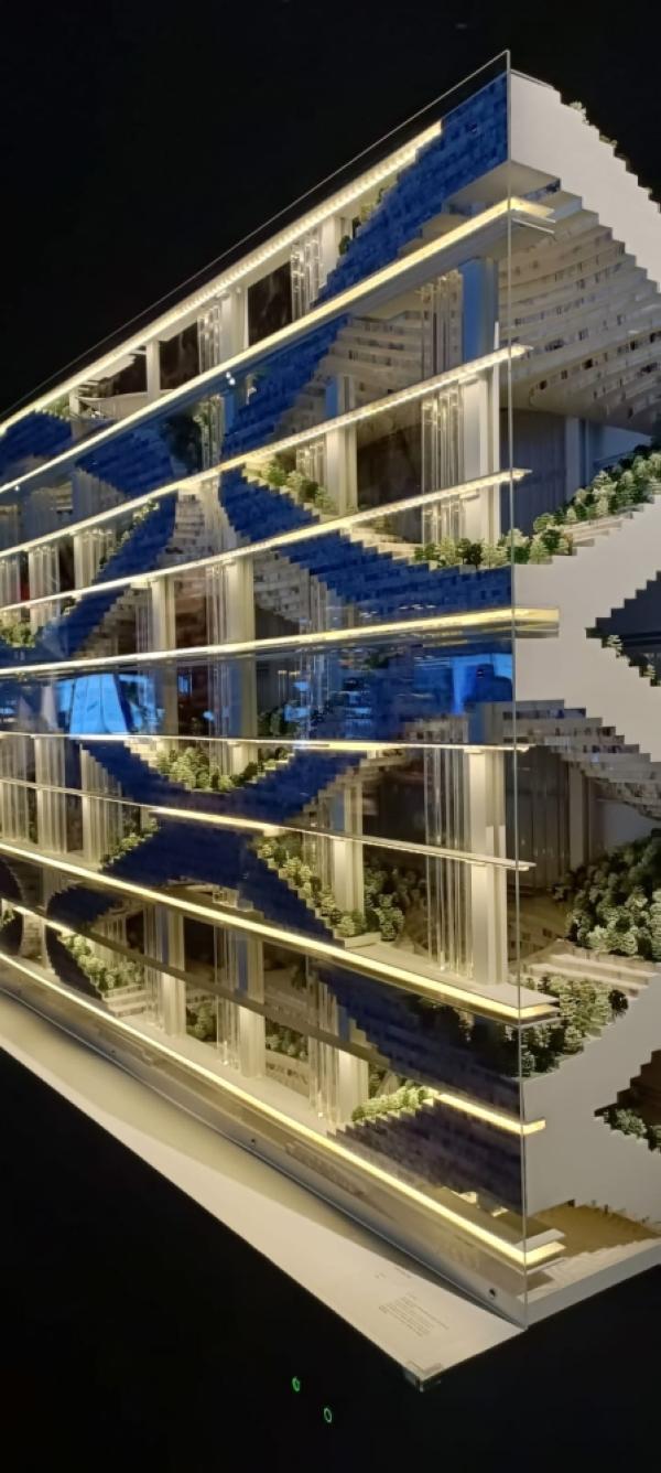 بالصور.. «ذا لاين» يلقي الضوء على 224 نوع من النباتات بنيوم