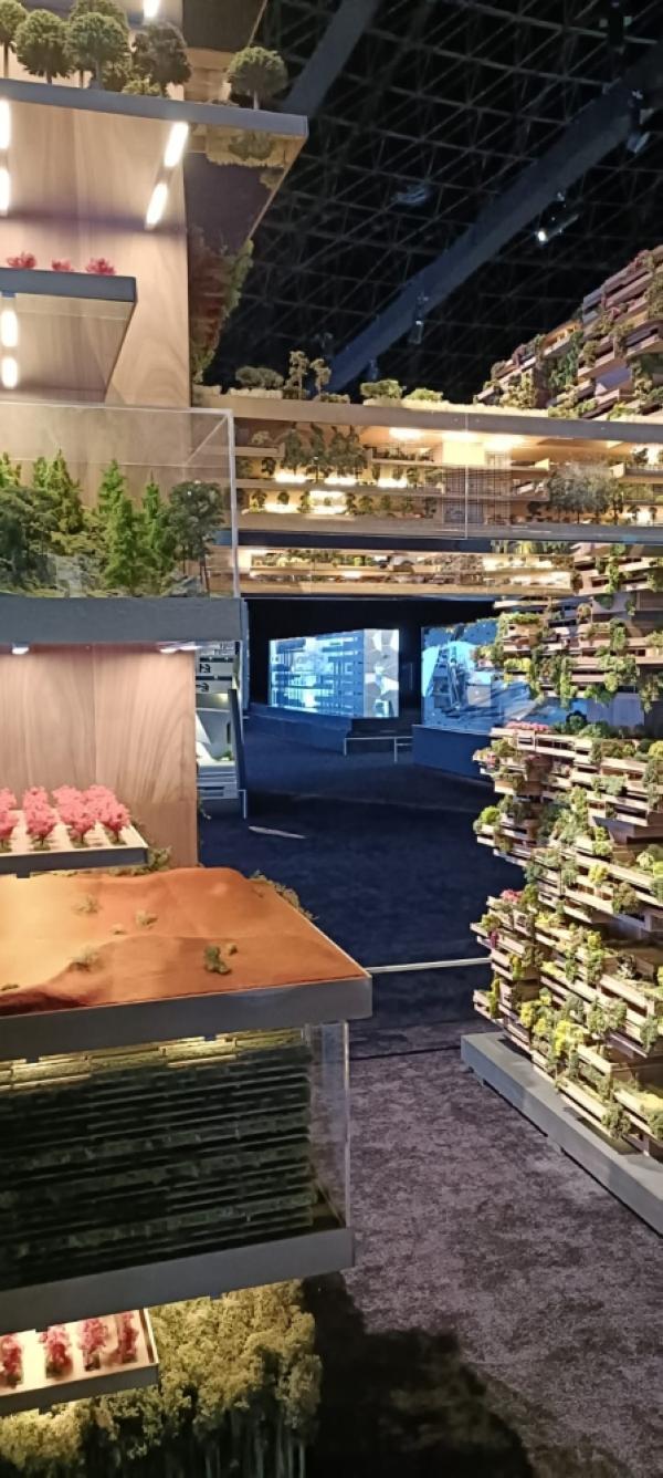 بالصور.. «ذا لاين» يلقي الضوء على 224 نوع من النباتات بنيوم
