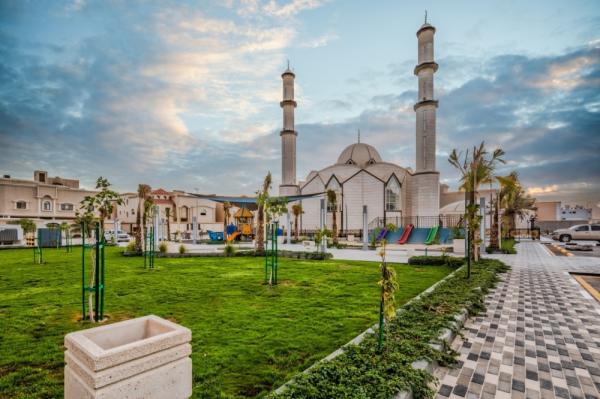 زراعة 3 ملايين زهرة موسمية