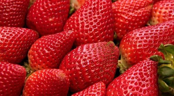 الفراولة تخفض خطر الزهايمر