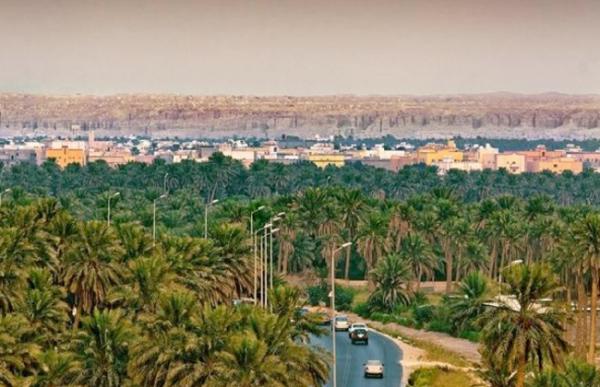 واحة الأحساء