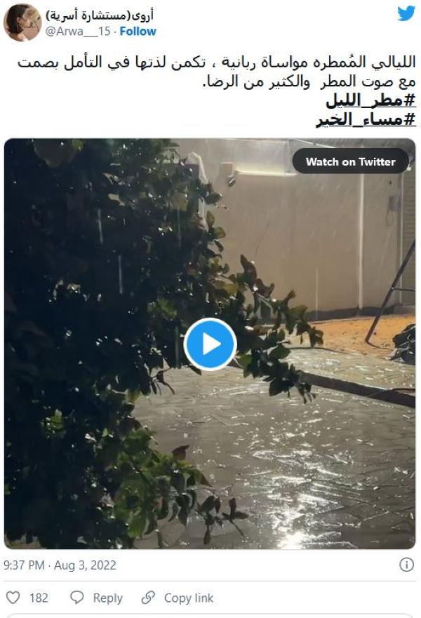 مطر الليل 2