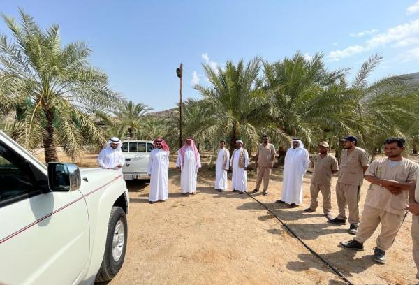 جولات إرشادية للمزارع في العاصمة المقدسة