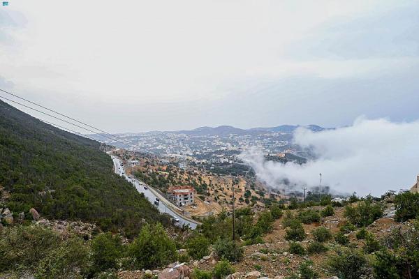 بالصور.. أمطار وضباب على منطقة الباحة