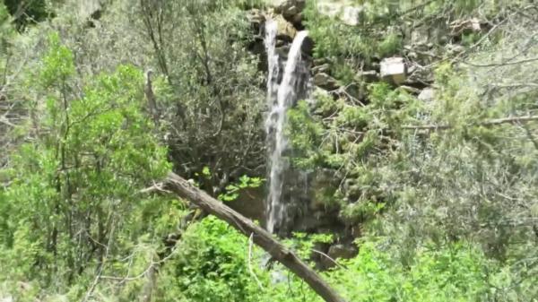 غابة خيرة - مشاع إبداعي
